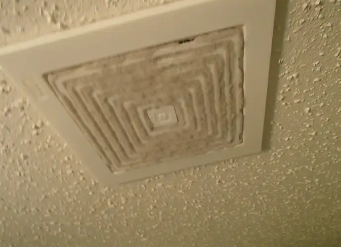 Exhaust Fan Cleaning